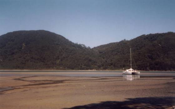 Tasman4